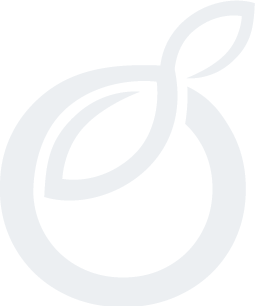 logo Webzest - Agence web et communication